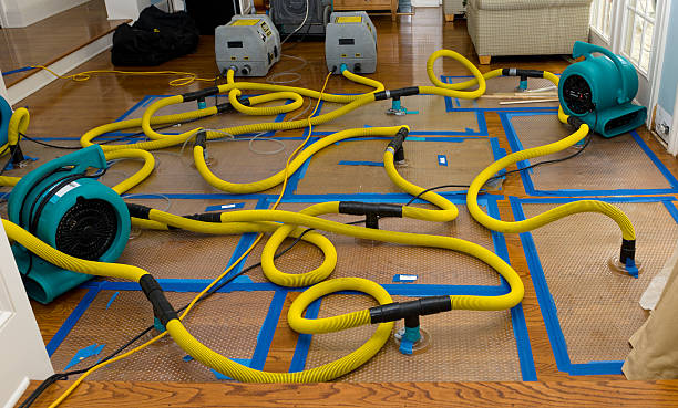 Professional Crawl Space Water Removal technician working in Port Hope, MI